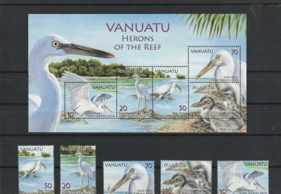 Fauna ,pasari aqvatice ,Vanuatu. foto