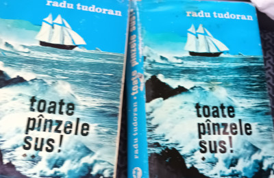 TOATE PANZELE SUS RADU TUDORAN (2 volume, coperti cartonate) foto