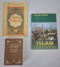 Set carti Coran Islam / Traducerea sensurilor Coranului cel Sfant / Islam credinta si invataturi