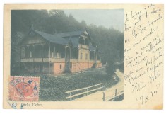 5066 - SLANIC MOLDOVA, Litho, Romania - old postcard - used - 1903 - TCV