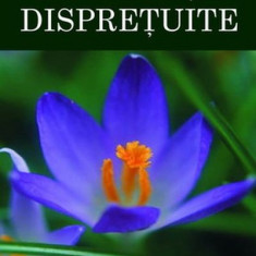 Suferinte dispretuite | Janine Fontaine