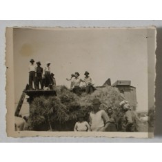 TARANI LA MUNCA CAMPULUI , FOTOGRAFIE , INTERBELICA