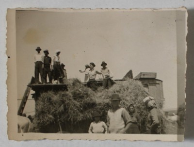 TARANI LA MUNCA CAMPULUI , FOTOGRAFIE , INTERBELICA foto