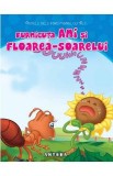 Furnicuta Ani si floarea-soarelui
