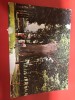 Carte Postala Tebea - Gorunul lui Horea, Transilvania, Romania dupa 1918