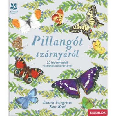 Pillang&amp;oacute;t sz&amp;aacute;rny&amp;aacute;r&amp;oacute;l - 20 lepkemodell r&amp;eacute;szletes ismertetővel - Lauren Fairgrieve foto