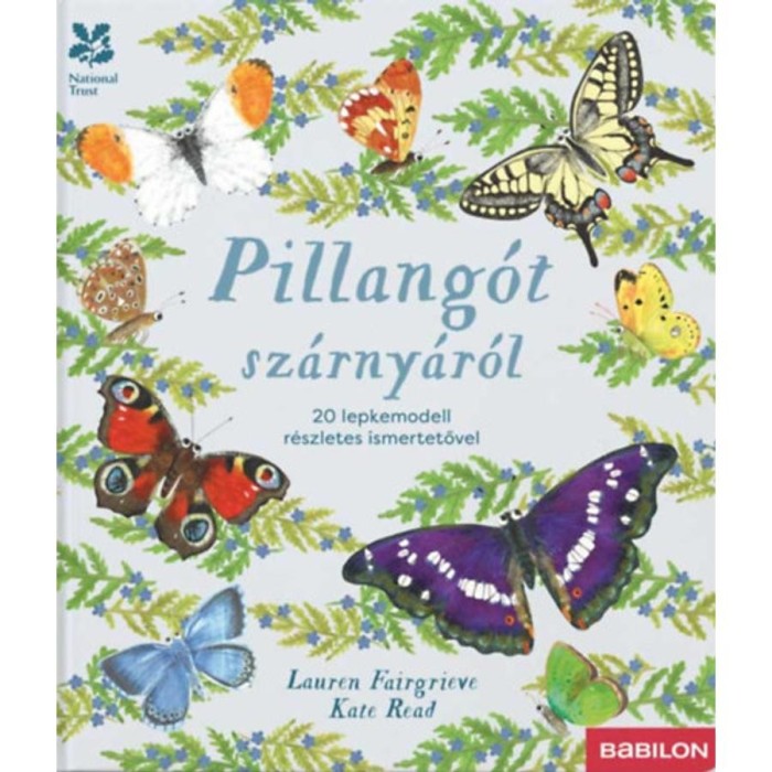 Pillang&oacute;t sz&aacute;rny&aacute;r&oacute;l - 20 lepkemodell r&eacute;szletes ismertetővel - Lauren Fairgrieve