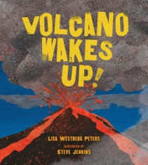 Volcano Wakes Up! foto