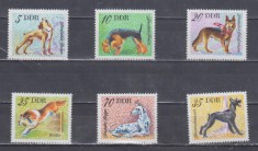 A12 S4 2 - Timbre foarte vechi - Fosta Germanie Democrata DDR animale salbatice