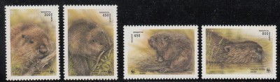 BELARUS 1995 WWF FAUNA PROTEJATA CASTORI foto