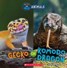 Gecko or Komodo Dragon (Wild World: Pets and Wild Animals) foto