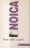 Intre suflet si spirit - Publicistica II 1930 - Iunie 1934