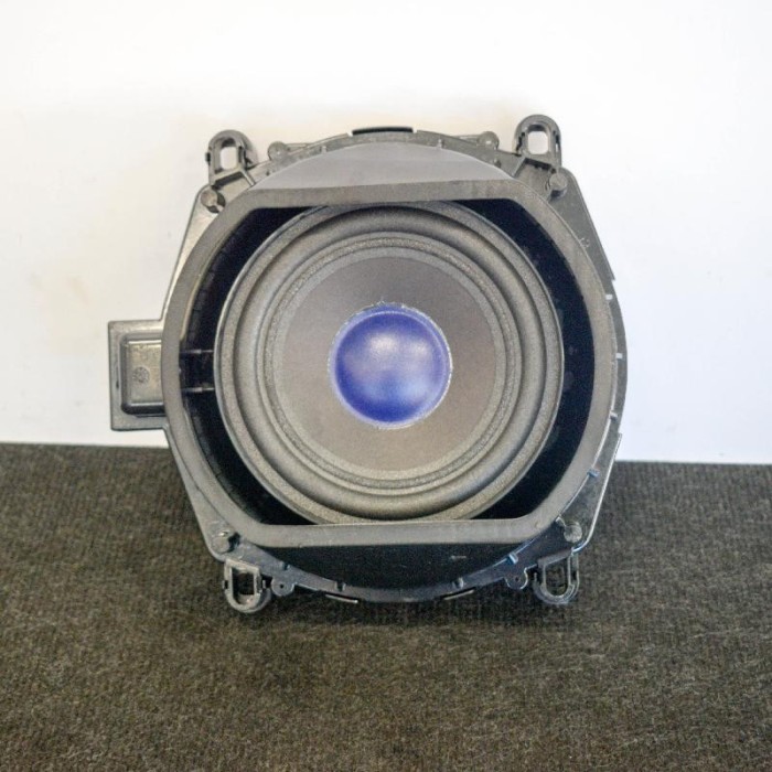 Subwoofer BMW X5 E70 2008 OEM: 6971880 | 3949092