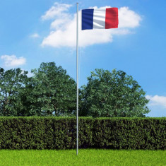 vidaXL Steag Franța, 90 x 150 cm