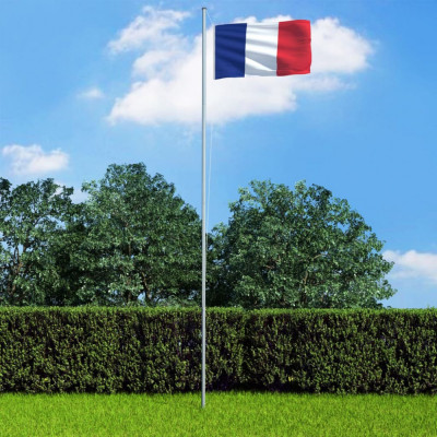 vidaXL Steag Franța, 90 x 150 cm foto