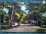Regalitate Romania, carte postala Caransebesul Vechi- TEUS , Parcul gradina