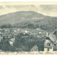 4718 - PREDEAL, Panorama, Romania - old postcard - used - 1912