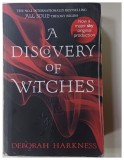 A Discovery of Witches, volume I from the All Souls trilogy by Deborah Harkness, 2011