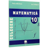 Culegere matematica clasa a 10-a - Petre Nachila, Ion Chesca