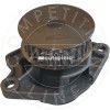 Pompa apa VW NEW BEETLE (9C1, 1C1) (1998 - 2010) AIC 51417