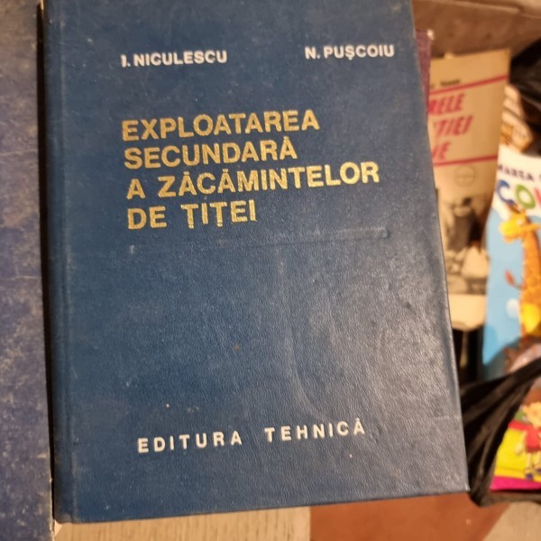 EXPLOATAREA SECUNDARA A ZACAMINTELOR DE TITEI - NICULESCU