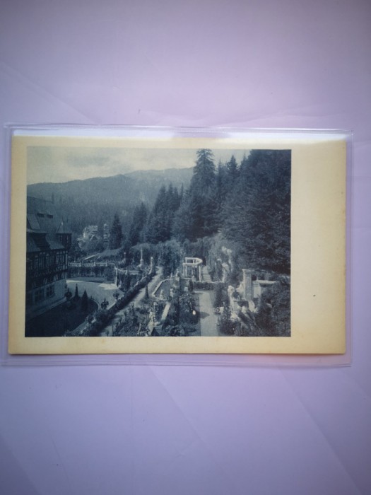Carte postala Sinaia, Castel Peles terase, necirculata