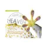 Made in Heaven: The Indiscriminate Stealing of God&#039;s Amazing Design