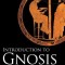 Introduction to Gnosis: Gnostic Methods for Today&#039;s World
