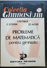 Probleme de matematică pentru gimnaziu - I. Petrică, C. Ștefan, Șt. Alexe