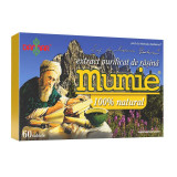 Extract Purificat de Rasina Mumie Damar 60 tablete