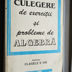 CULEGERE DE EXERCITII SI PROBLEME DE ALGEBRA CLASELE V-VIII IVANCA OLIVOTTO