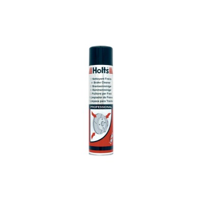 Aerosol pentru curatarea franelor 600ml Holts foto