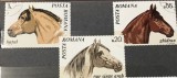 (H) Timbre Serii Romania Fauna Cai, Stampilat