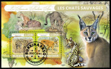BURKINA FASO 2022 - Fauna africana, Feline salbatice /colita, Stampilat