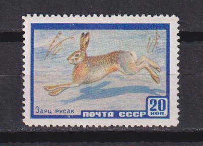 RUSIA U.R.S.S. 1964 FAUNA MI:2323 MNH foto