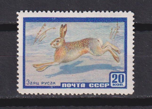 RUSIA U.R.S.S. 1964 FAUNA MI:2323 MNH