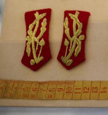 Petlite pentru Uniforma - grad General - Romania - Efecte militare