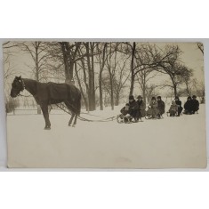ADULTI SI COPII PE PATRU SANII LEGATE INTRE ELE , TRASE DE CAL , FOTOGRAFIE TIP CARTE POSTALA , INTERBELICA