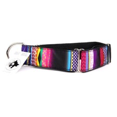 Zgarda caini Greyhound cu model 4 cm x 36 - 50 cm foto