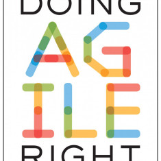 Doing Agile Right | Darrell K. Rigby, Sarah Elk, Steven H. Berez