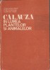 Călăuză Plante și Animale - C. P&acirc;rvu, Stoica Godeanu, Ed. Ceres 1985 - Biologie, Carte Științifică