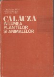 Cumpara ieftin C. P&acirc;rvu, Stoica Godeanu, Călăuză &icirc;n lumea plantelor și animalelor