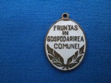 FRUNTAS IN GOSPODARIREA COMUNII, Romania de la 1950