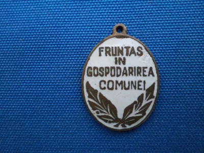 FRUNTAS IN GOSPODARIREA COMUNII foto