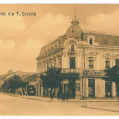 892 - TURNU SEVERIN, Magazin si Librarie, Romania - old postcard - unused