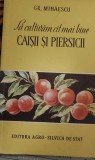 SA CULTIVAM CAT MAI BINE CAISII SI PIERSICII