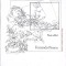 PLOAIE OBLICA-FERNANDO PESSOA-272211