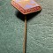 Insigna tip pin AMC Pucioasa