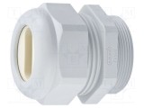 Garnitură de etanşare PG36 IP65 poliamidă gri HUMMEL