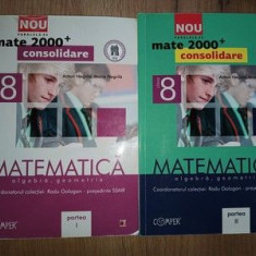 Matematica pentru clasa a 8-a I, II - Radu Gologan